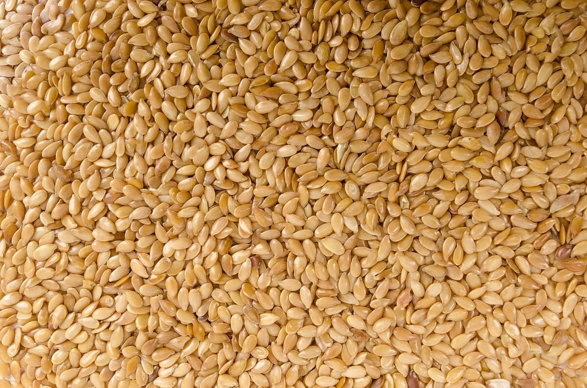 The Role of Sesame Production in Economic Development